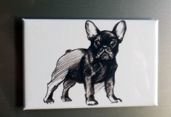 French Bulldogge Magnet